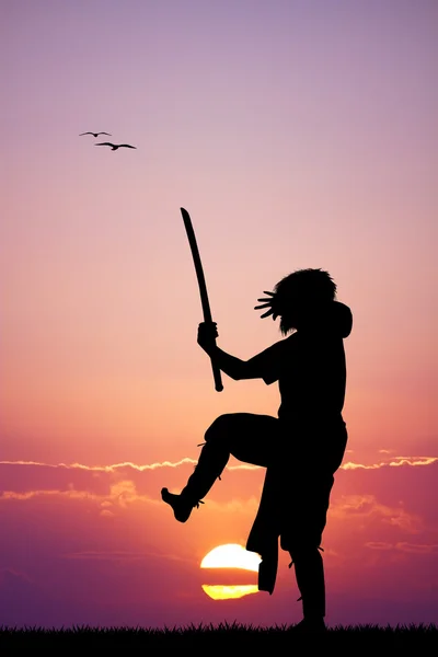 Samurai bij zonsondergang — Stockfoto