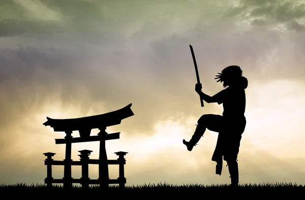 Samurai. — Fotografia de Stock