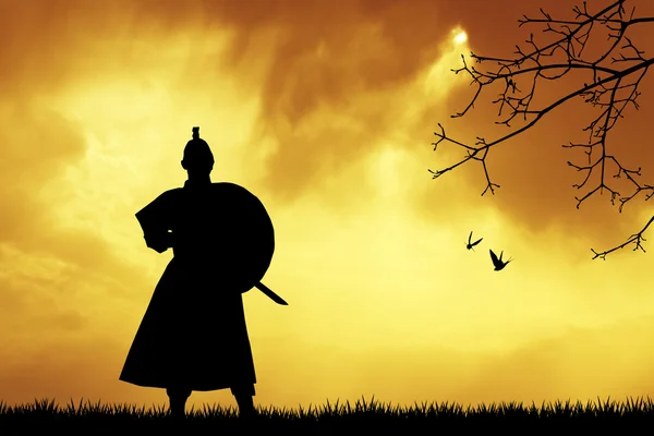 Samurai — Stockfoto