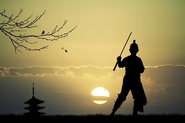 Asiatique homme avec épée — Photo