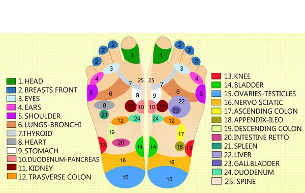 Foot reflexology chart — Stock Photo, Image