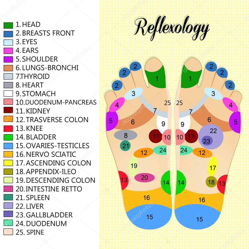 Foot reflexology chart Stock Illustration by ©adrenalina 53367891