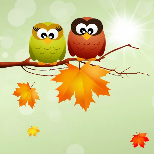 Owls with leaf — Stock Photo, Image