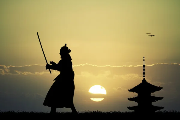 Самурайский ниндзя — стоковое фото