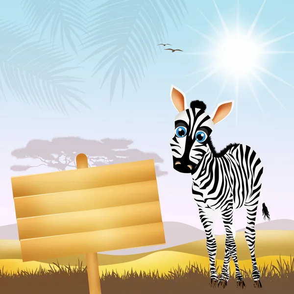 Zebra karikatür — Stok fotoğraf