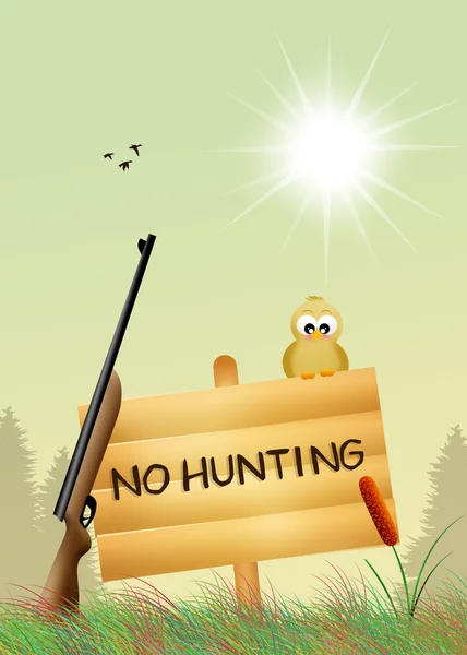 Proibição de caça — Fotografia de Stock