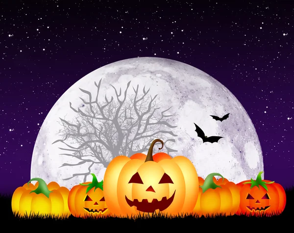 Kürbisse für Halloween — Stockfoto