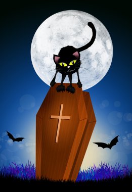 Tabutun üzerinde siyah kedi