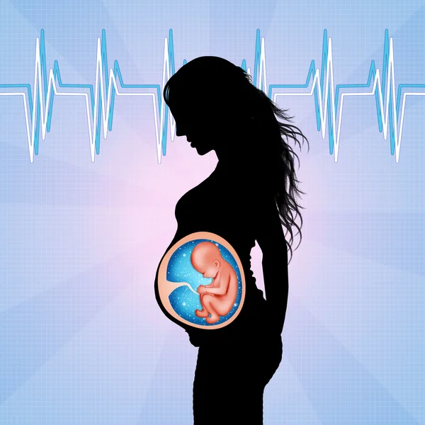 Fetus in mother's womb — Stock Photo, Image