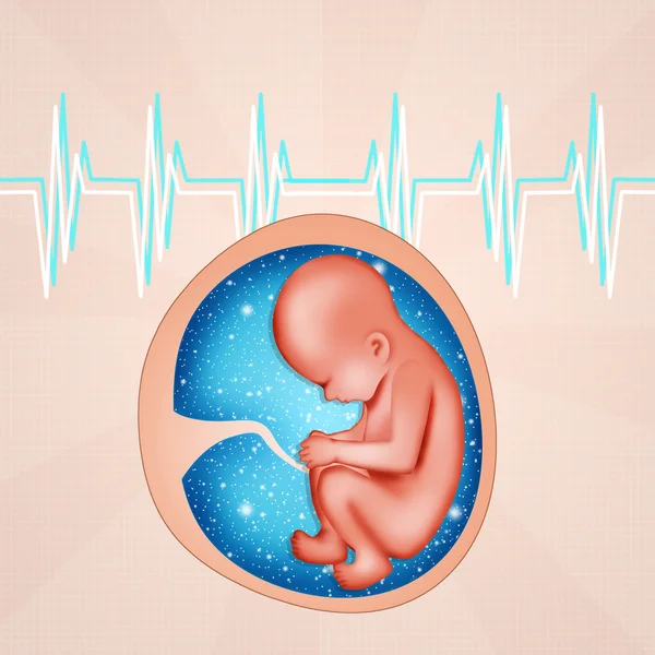 Fetus in the womb — Stock Photo, Image