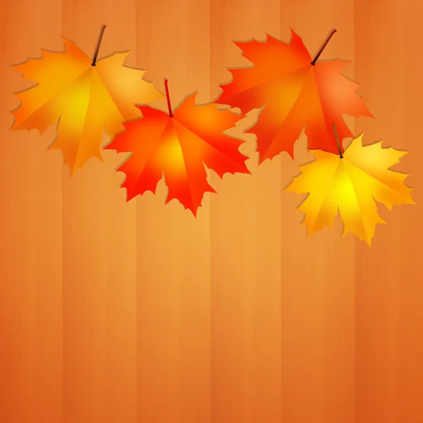 Autumn leaves — Stock Photo, Image