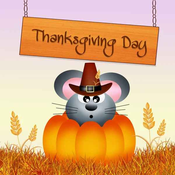 Happy thanksgiving day — Stockfoto