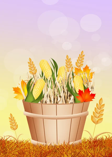 Кукуруза на День Благодарения — стоковое фото