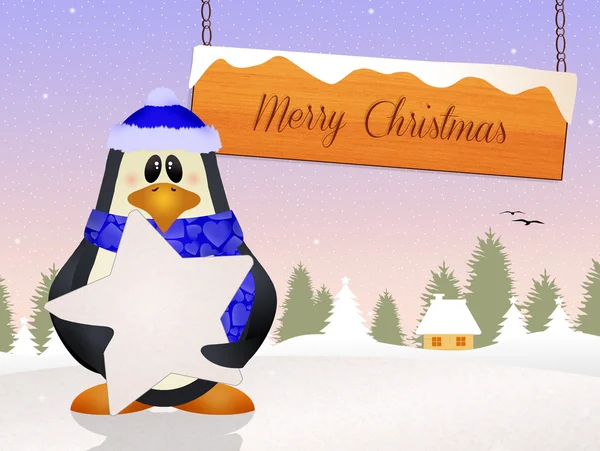 Penguin at Christmas — Stock Photo, Image