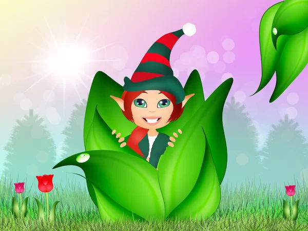 Elf ile bud — Stok fotoğraf