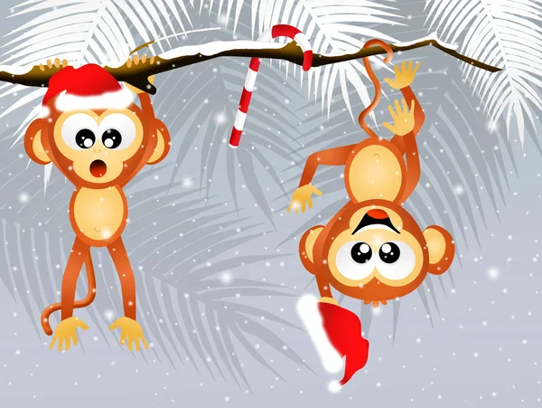 Majmok karácsonykor — Stock Fotó