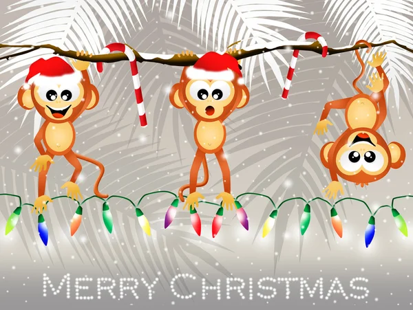 Opice na Vánoce — Stock fotografie