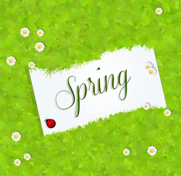 Cartolina di primavera — Foto Stock