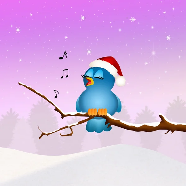 Fågelsången vid jul — Stockfoto