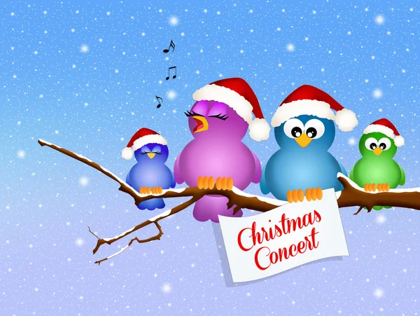 Christmas concert — Stock Photo, Image