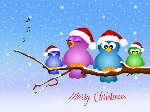 Birds singing at Christmas — Stock Photo, Image
