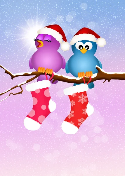 Birds with Christmas socks — Stock Photo, Image