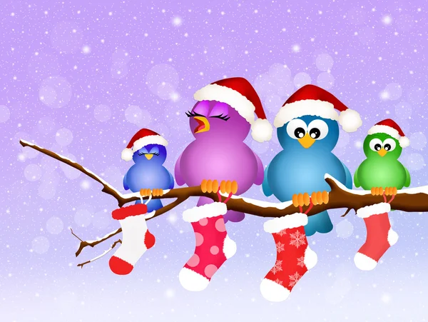 Family of birds with Christmas socks — Stock Photo, Image