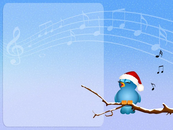 Concert of Christmas — Stock Photo, Image