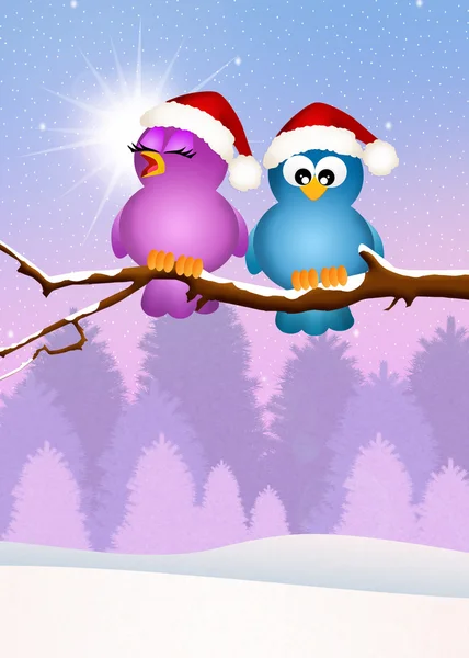 Birds at Christmas — Stock Photo, Image