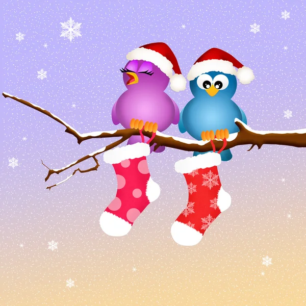 Birds with Christmas socks — Stock Photo, Image