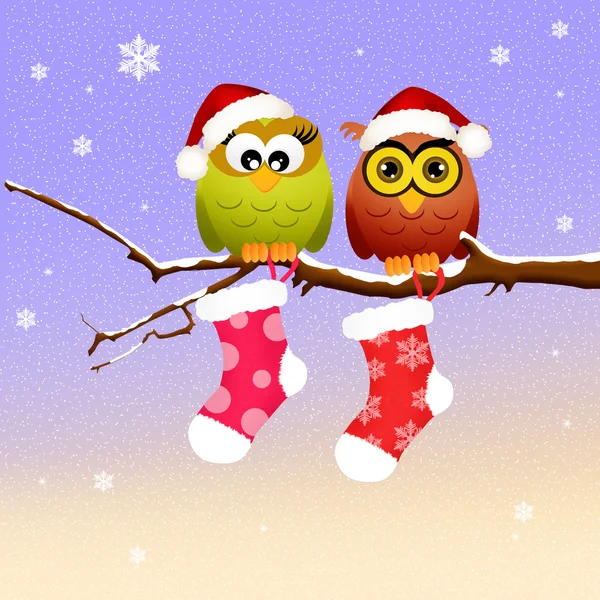 Owls at Christmas — Stock Photo, Image