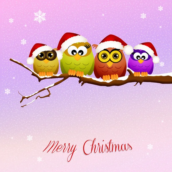 Owls celebrate Christmas — Stock Photo, Image