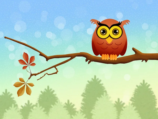 Owl on branch — Stock Photo, Image