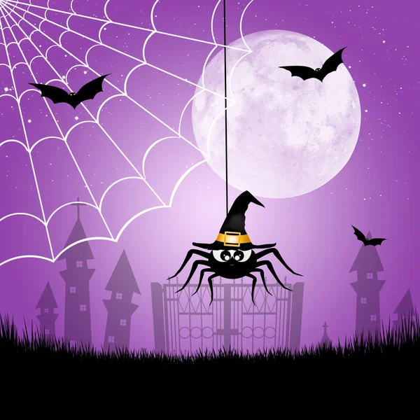 Hallowen spider — Stock Photo, Image