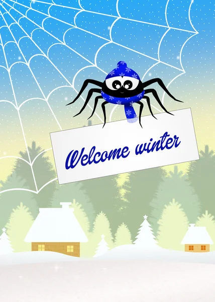 Kışın örümcek — Stok fotoğraf