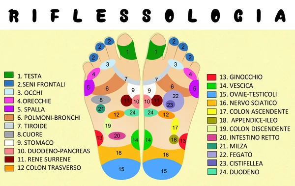 Foot reflexology chart — Stock Photo, Image