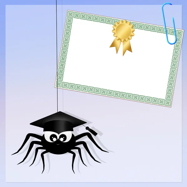 Araña con diploma — Foto de Stock