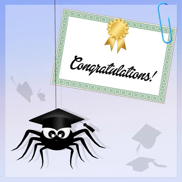 Graduado Spider — Foto de Stock