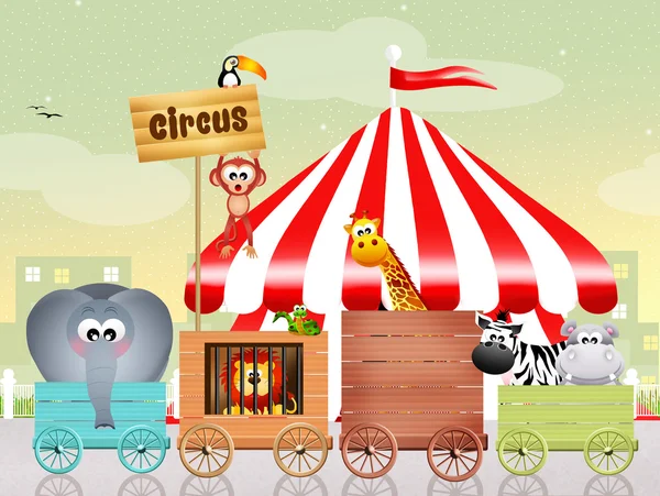 Cirkus — Stockfoto