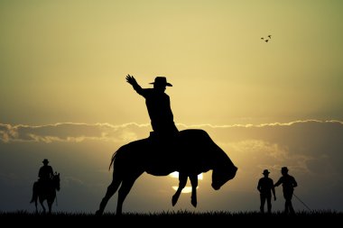 Bull Rider