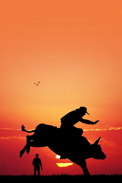 Bull Rider — Zdjęcie stockowe