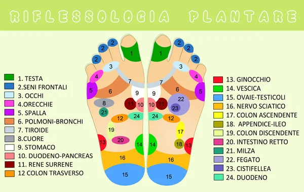 Reflexology — Stock Photo, Image