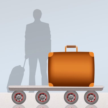 Kontrol edilmiş bagaj