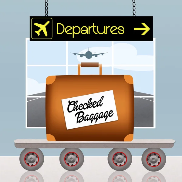 Checked baggage — Stock Photo, Image