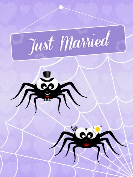 거미의 결혼식 — 스톡 사진