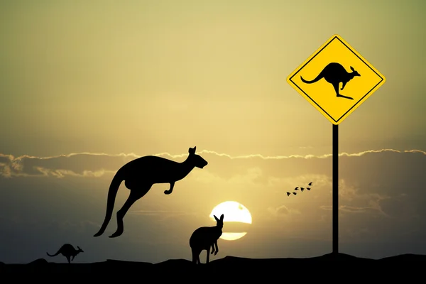 Kangaroo underteckna försiktighet — Stockfoto