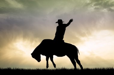 gün batımında Bull rider