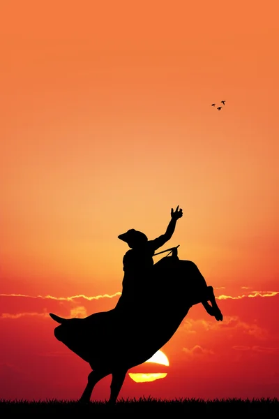 Bull Rider — Stockfoto