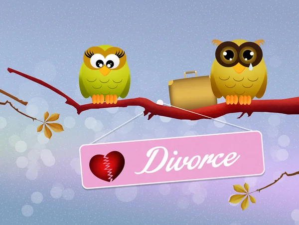 Búhos divorciados — Foto de Stock