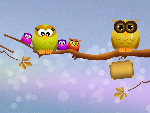 Baykuşlar boşandı